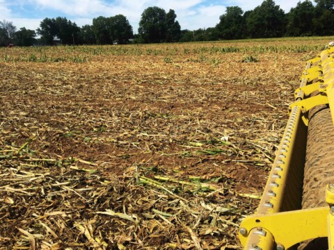 Delelman Pro-til results