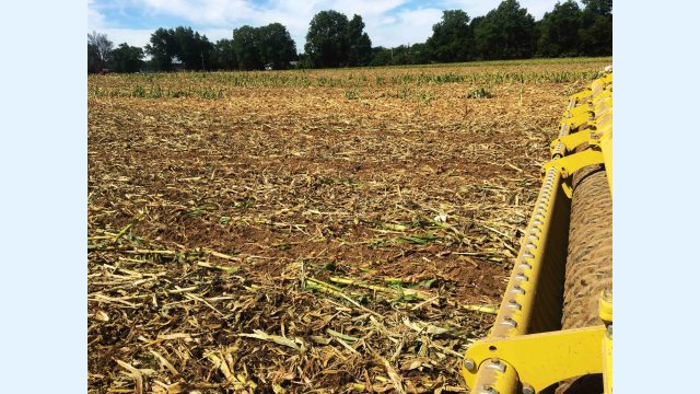 Delelman Pro-til results