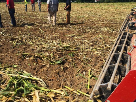 Case IH True-Tandem™ 375 Disk Harrow results