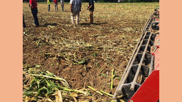 Case IH True-Tandem™ 375 Disk Harrow results