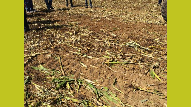 Maschio UFO Folding results