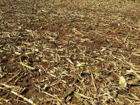 Kuhn Krause Interceptor