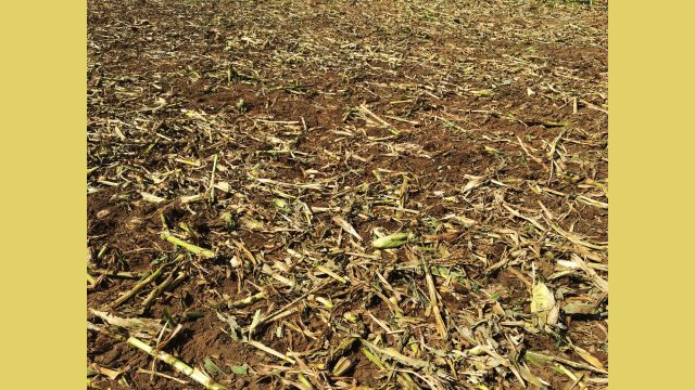 Kuhn Krause Interceptor